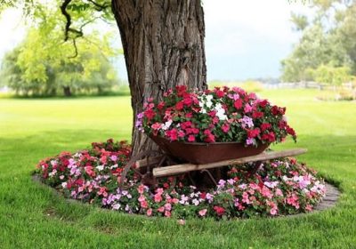 9b33b1bad35b8d9ffa460b2fbb19856f888c295a