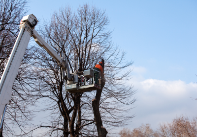 da63e1c54cb1c62dc2ad917dbabe498ddc70fa2c