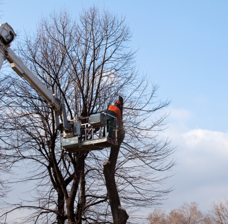 da63e1c54cb1c62dc2ad917dbabe498ddc70fa2c